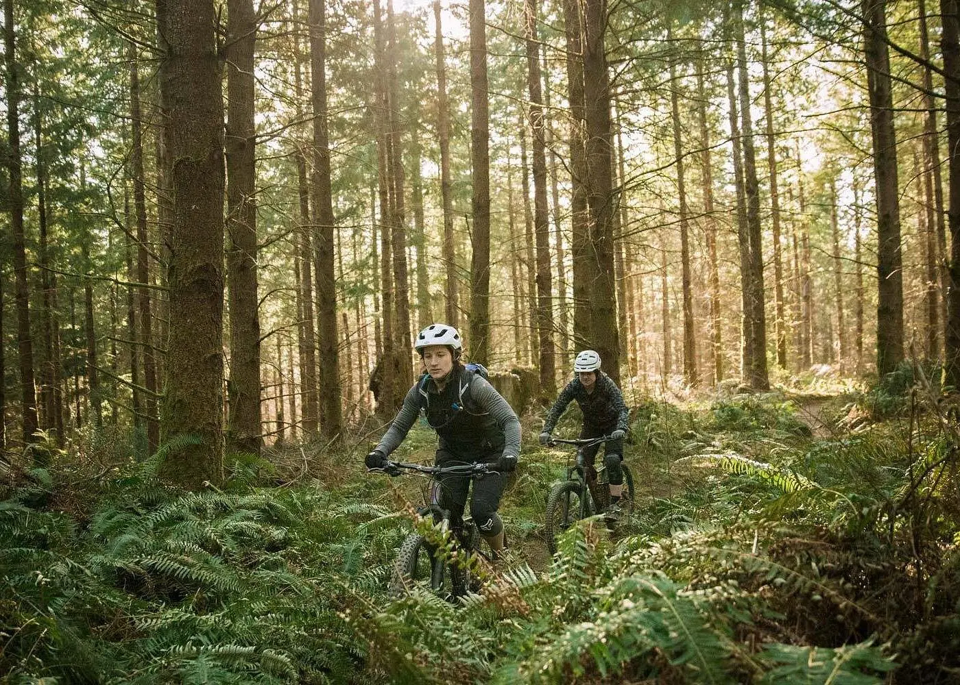 E-Bike Half-Day Trip to Harrys Rock or Corfé Castle