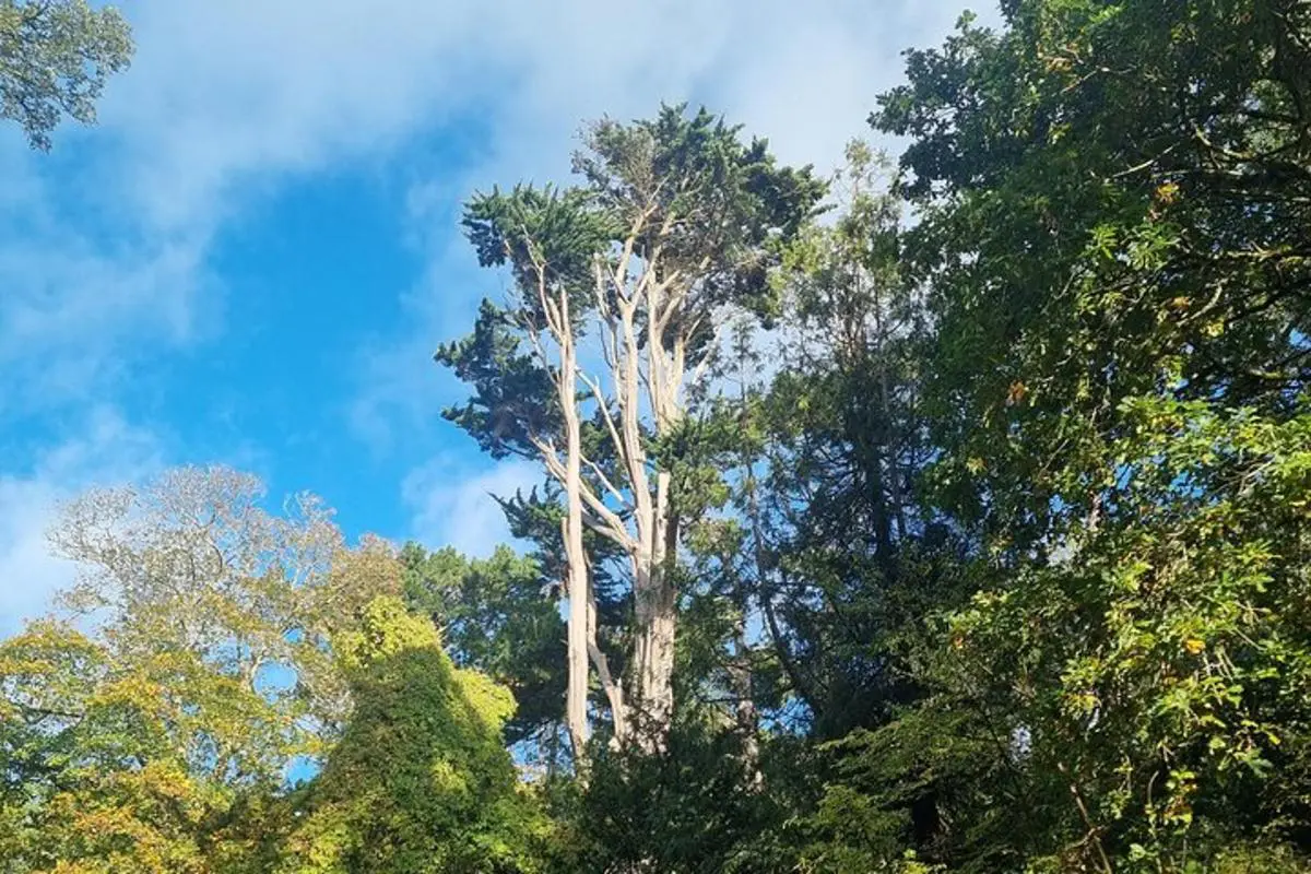 Full Day Guided Small Group Tour of Central Dorset