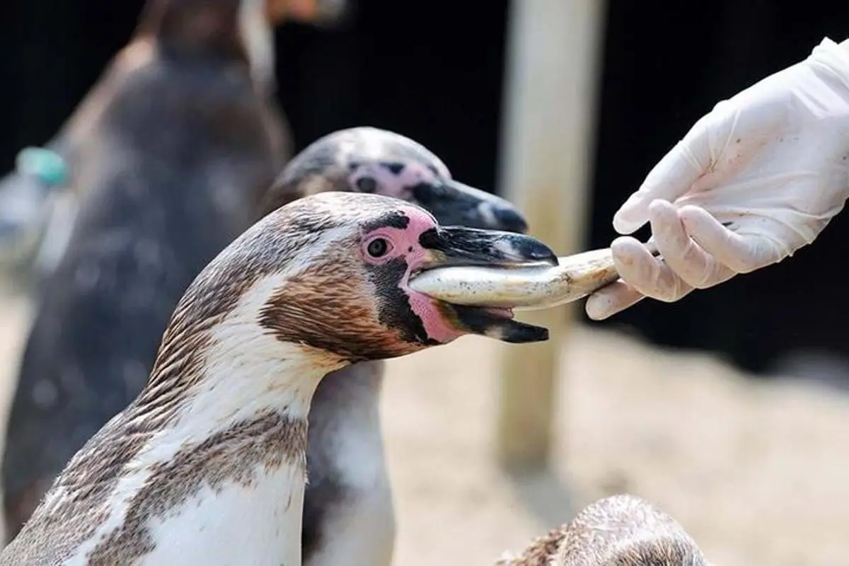 SEA LIFE Adventure Park