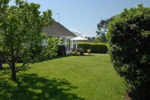 The Pines Hotel Thumb